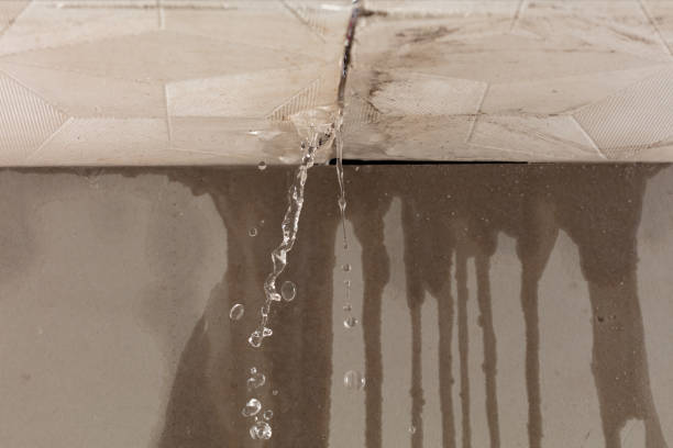 Professional Burst Pipe Cleanup technician working in Ducktown, TN